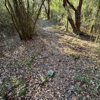 YAMAP的にはこれ