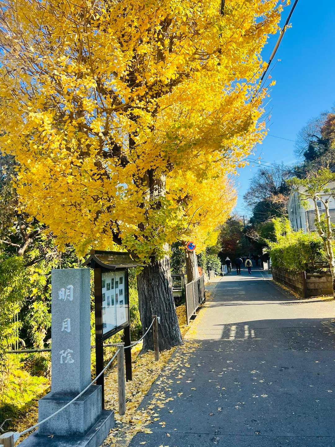 天気にも恵まれたね🟨