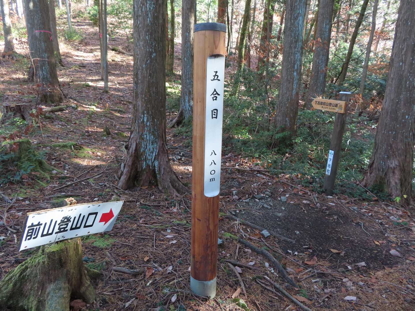 ここから登山道