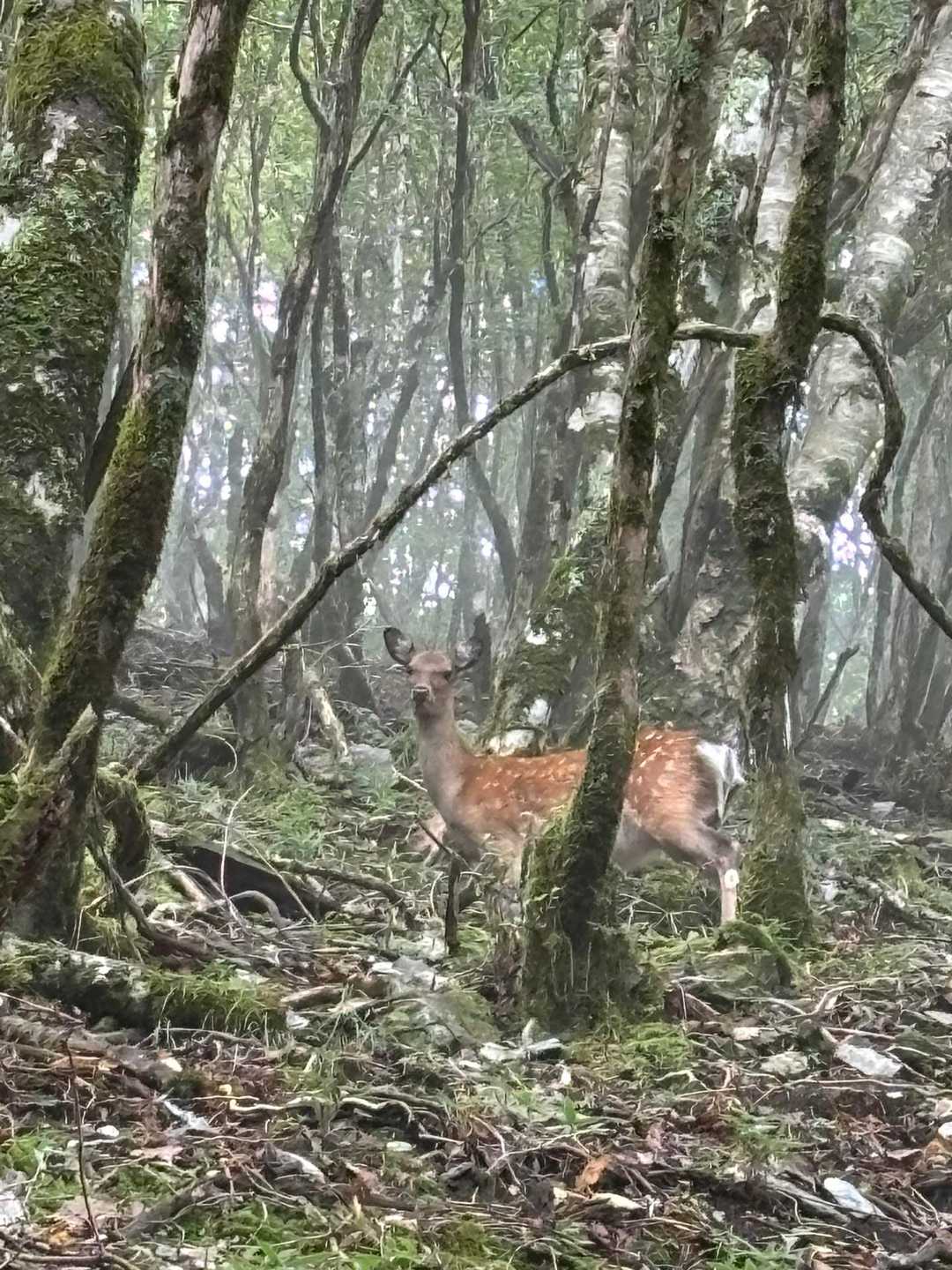 かわいい💕