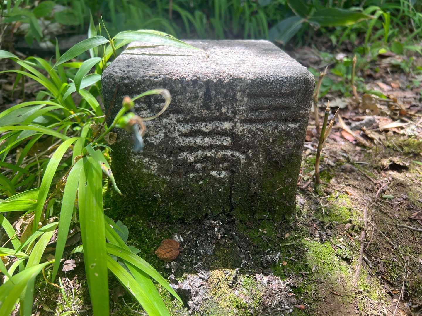 三等三角点