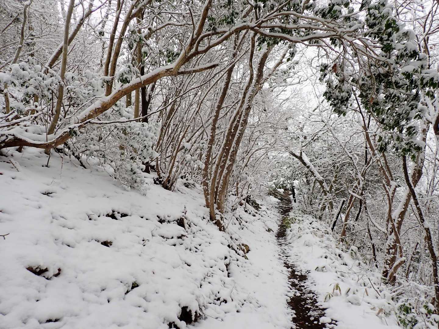 鈴振崖が近づくと