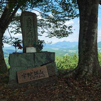 白髭大明神が祀られているのかな？
さりげなく右奥に額井岳を合わせてみる。