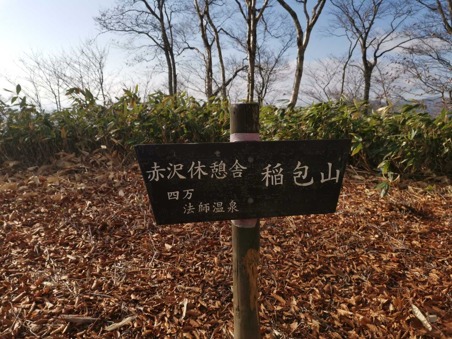 稲包山手前でちょっと広めの偽ピーク