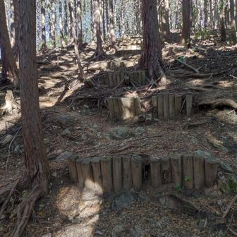 土留めのある急斜面を登っていきます