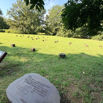 エノキの木の下から
建物跡