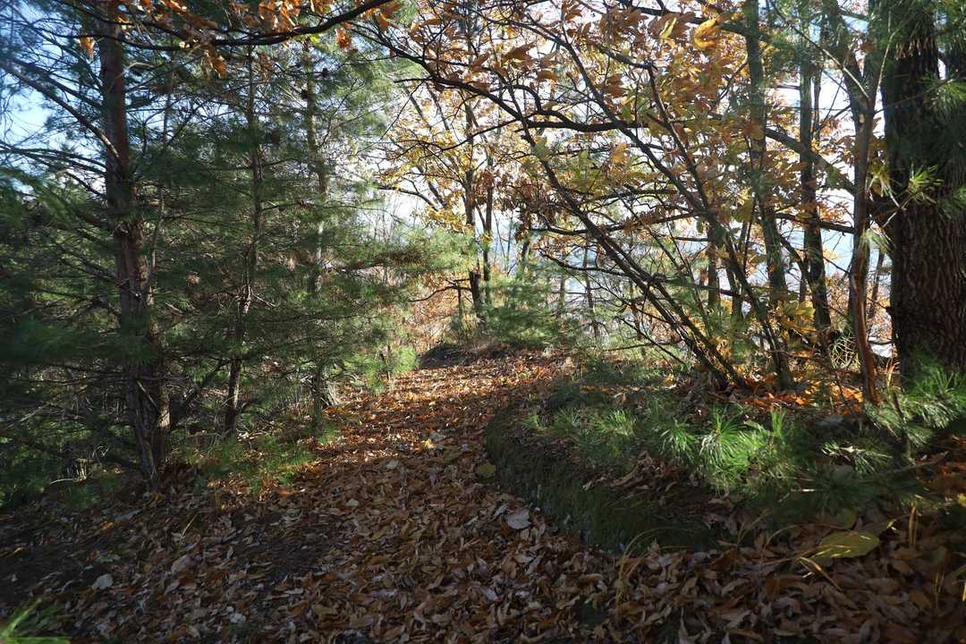 山頂までも道はわかりやすい