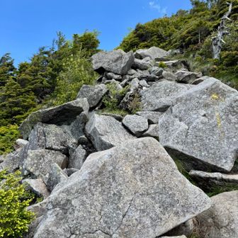 イワイワを高峰温泉方面に降りますが、振り返るとイワイワが激しい😅
降りだからよかったけど、登る時大変そう！