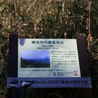 ん？
159.4m?
どっちが正解？