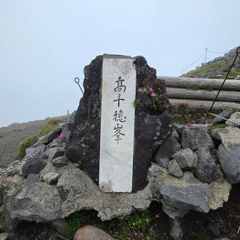 山頂到着