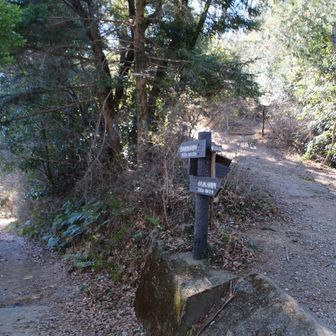 左を下り、ダムへ