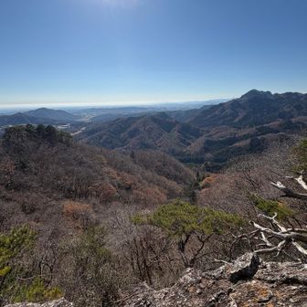 大展望にでました🤩
おじさまが目が良ければ富士山🗻が見えるかな〜と教えていただきましたが、残念ながら見えず😢