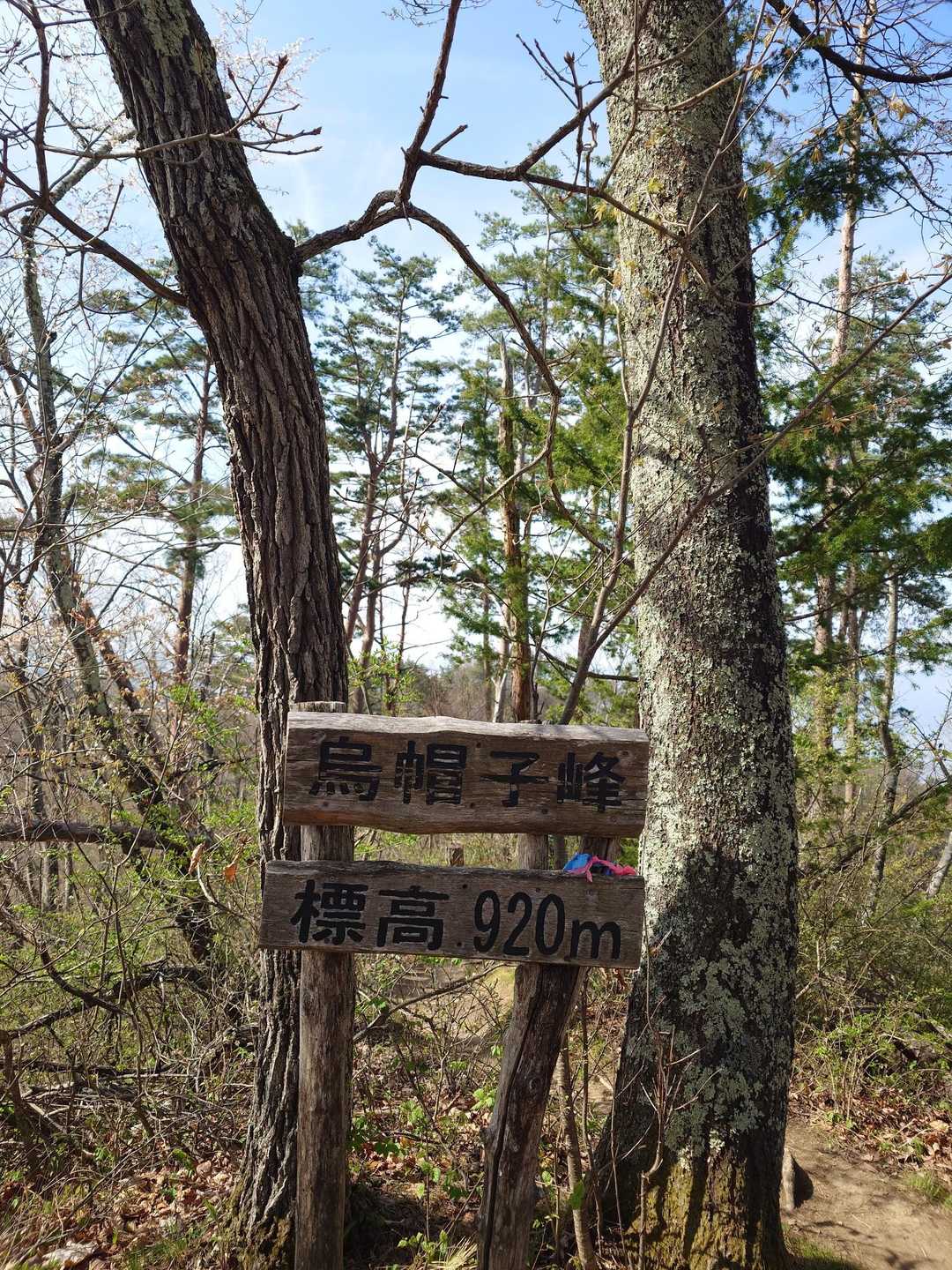 光城山-烏帽子峰-長峰山 縦走コースの写真