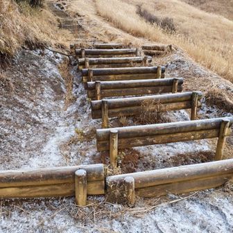 霜柱がザクザク気持ちいいです