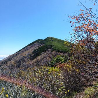 分岐から芽室岳本峰