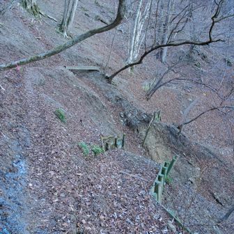 と思ったらがっつり崩れてた