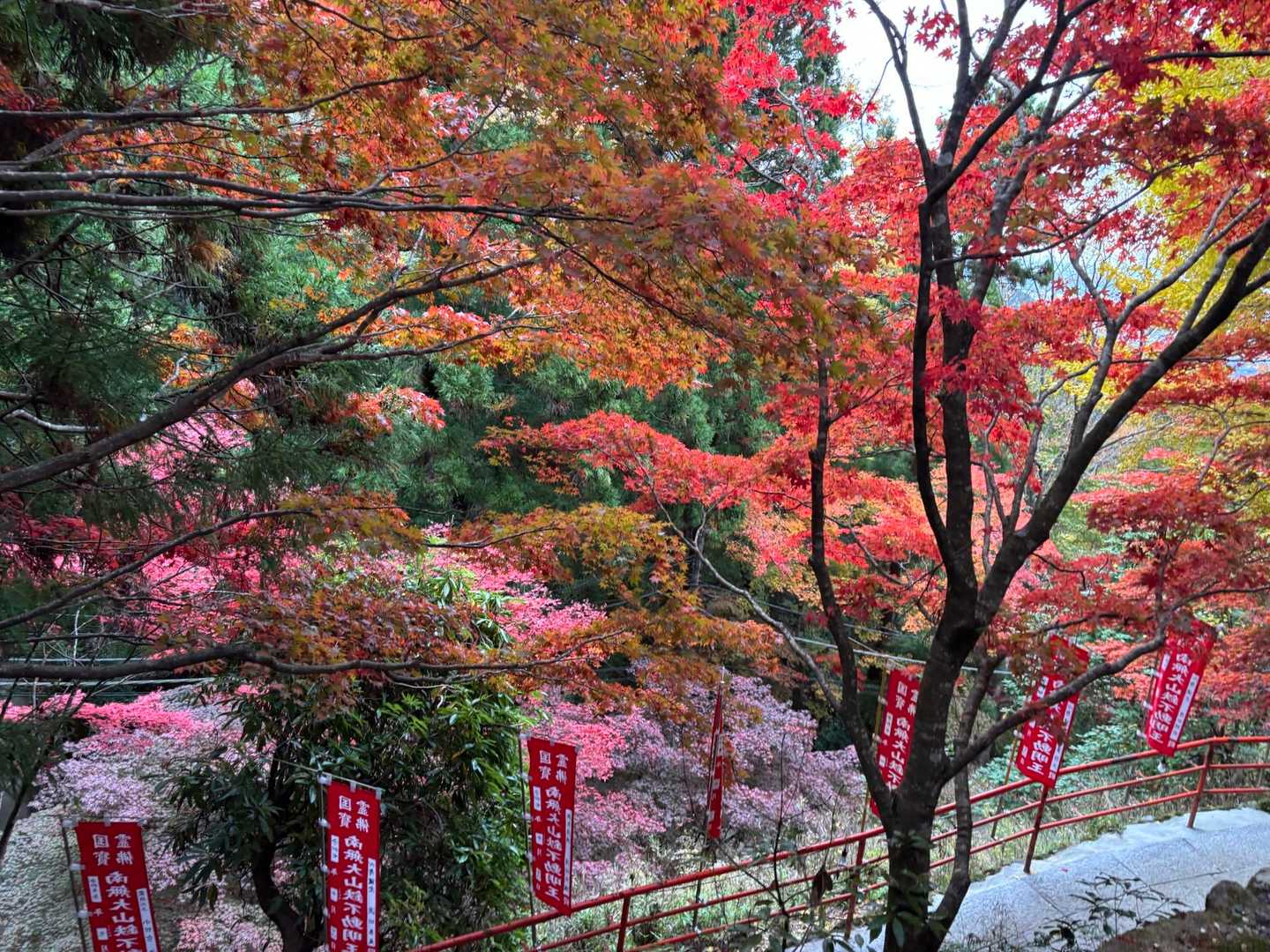 阿夫利神社下社-大山 往復コースの写真