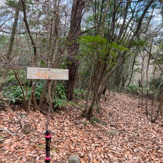 倉谷山まで来ました。