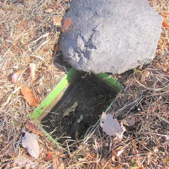 開けてみたら・・・
中に鎌は？😏