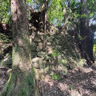 施福寺を出ると石垣があり、僧侶の修行場の跡っぽい🙏