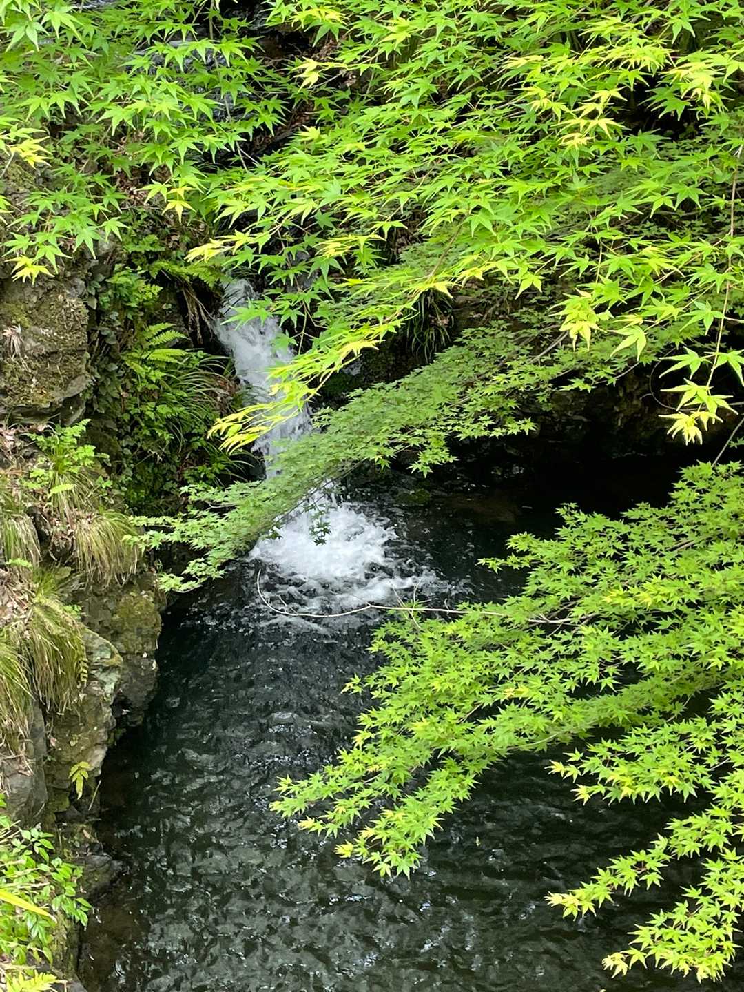 川とのコラボ🥰