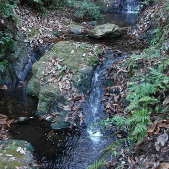 凍っていると危ない箇所もあるけど、今日は大丈夫。