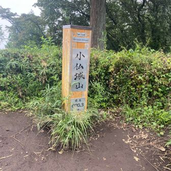 景色、真っ白。