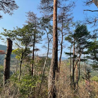 👌まあまあ綺麗🤩