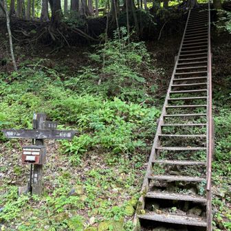 登山口