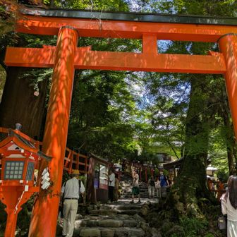 本宮入口。本宮は人が並んでいたので、パス。