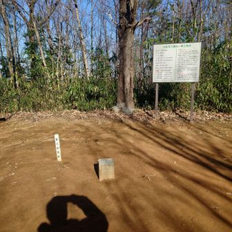山頂(64m)一等三角点▲と説明看板🪧この広場に擬木製のベンチあり、そこでコンビニ🏪おにぎりやパンで昼食にする🍙🥐