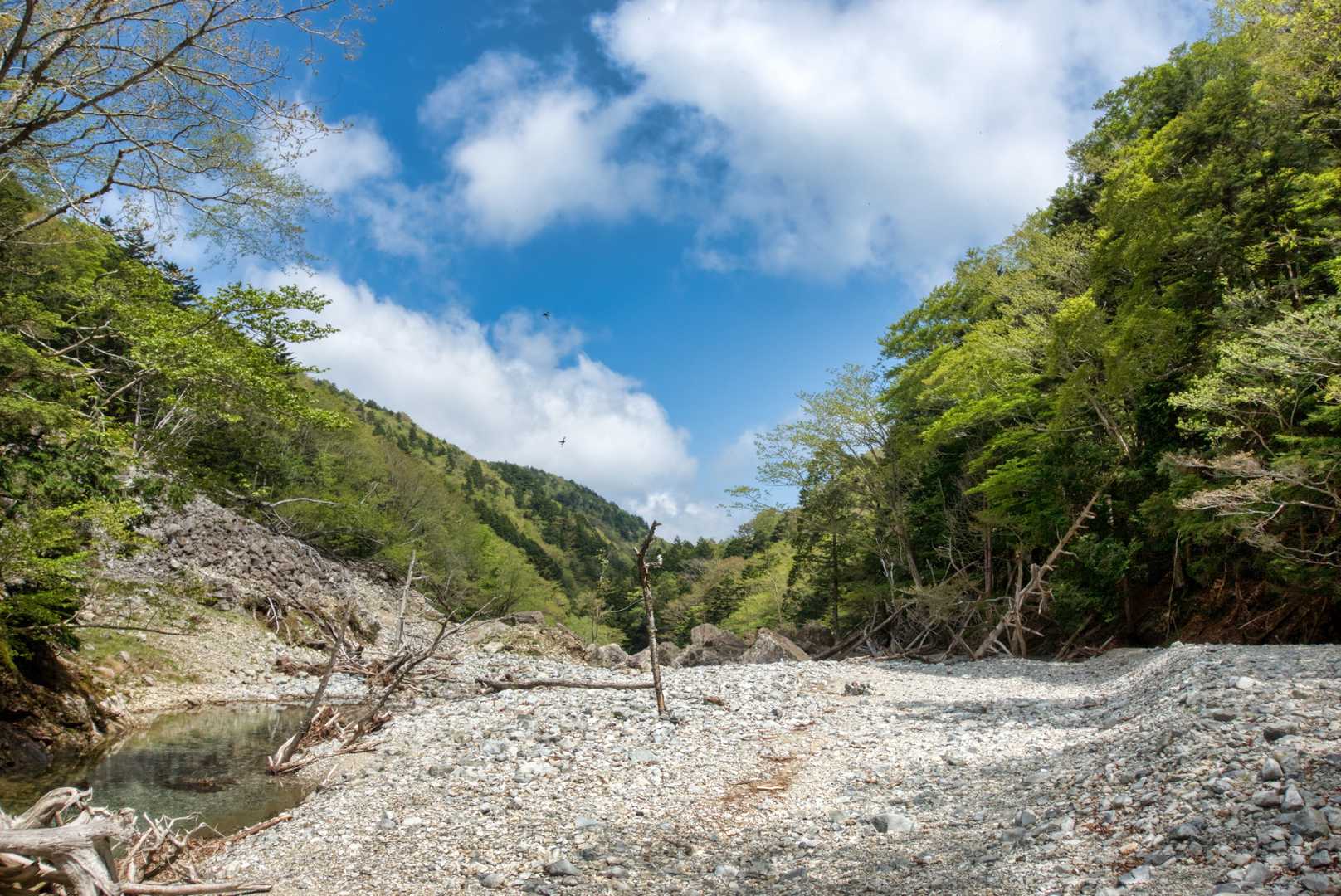 熊渡登山口 周回コースの写真