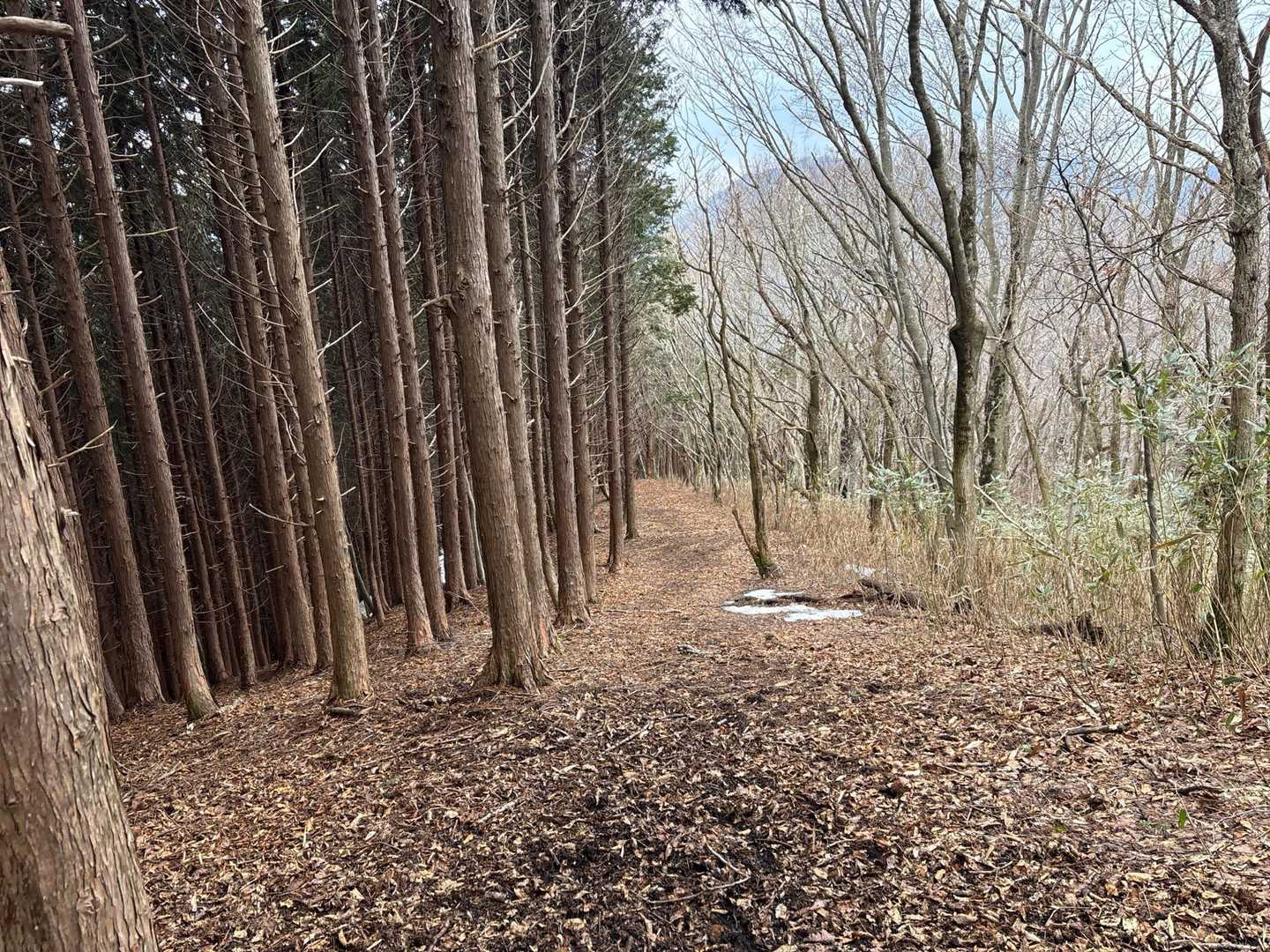 熊に会いませんように🙇