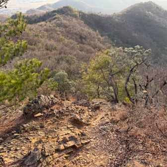 この岩場を下ります😱