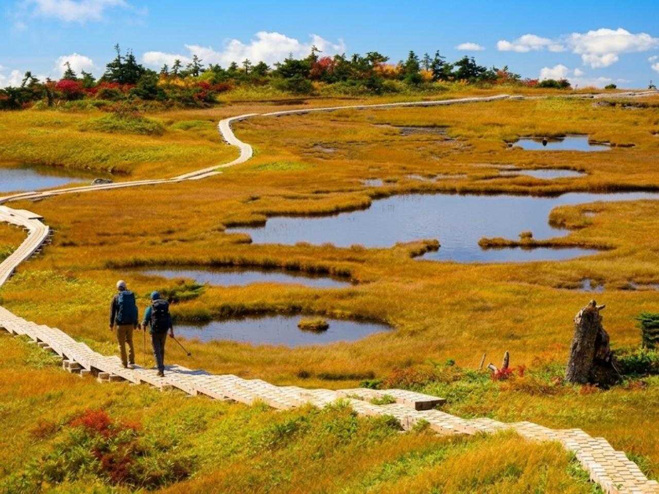 【JAPAN TRAIL】信越トレイル⑩（小赤沢 - 苗場山）の写真