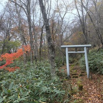 水神社の紅葉綺麗😍