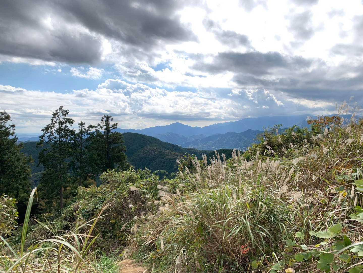 景信山 往復コースの写真