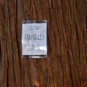 福成山山頂 標高227.3m 到着
山頂標識