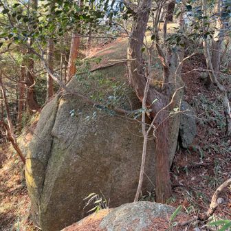 岩があります🪨