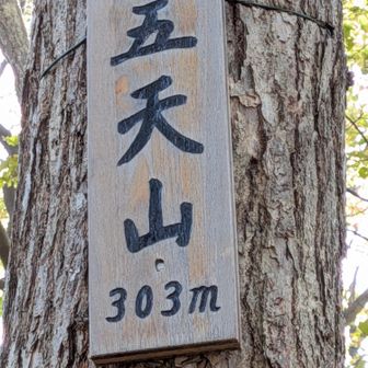 誰が付けてくれたのかなぁ。