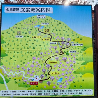 案内図💁‍♀️