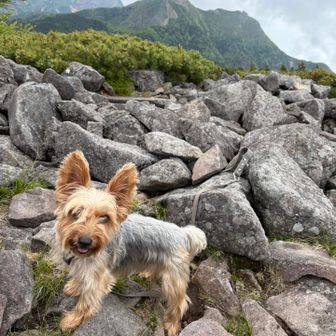 🐶撮るのはもうイイからさぁ早く休憩しようよ~