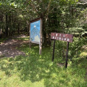 皆がバスで向かう中、須山口から山へ⛰️
