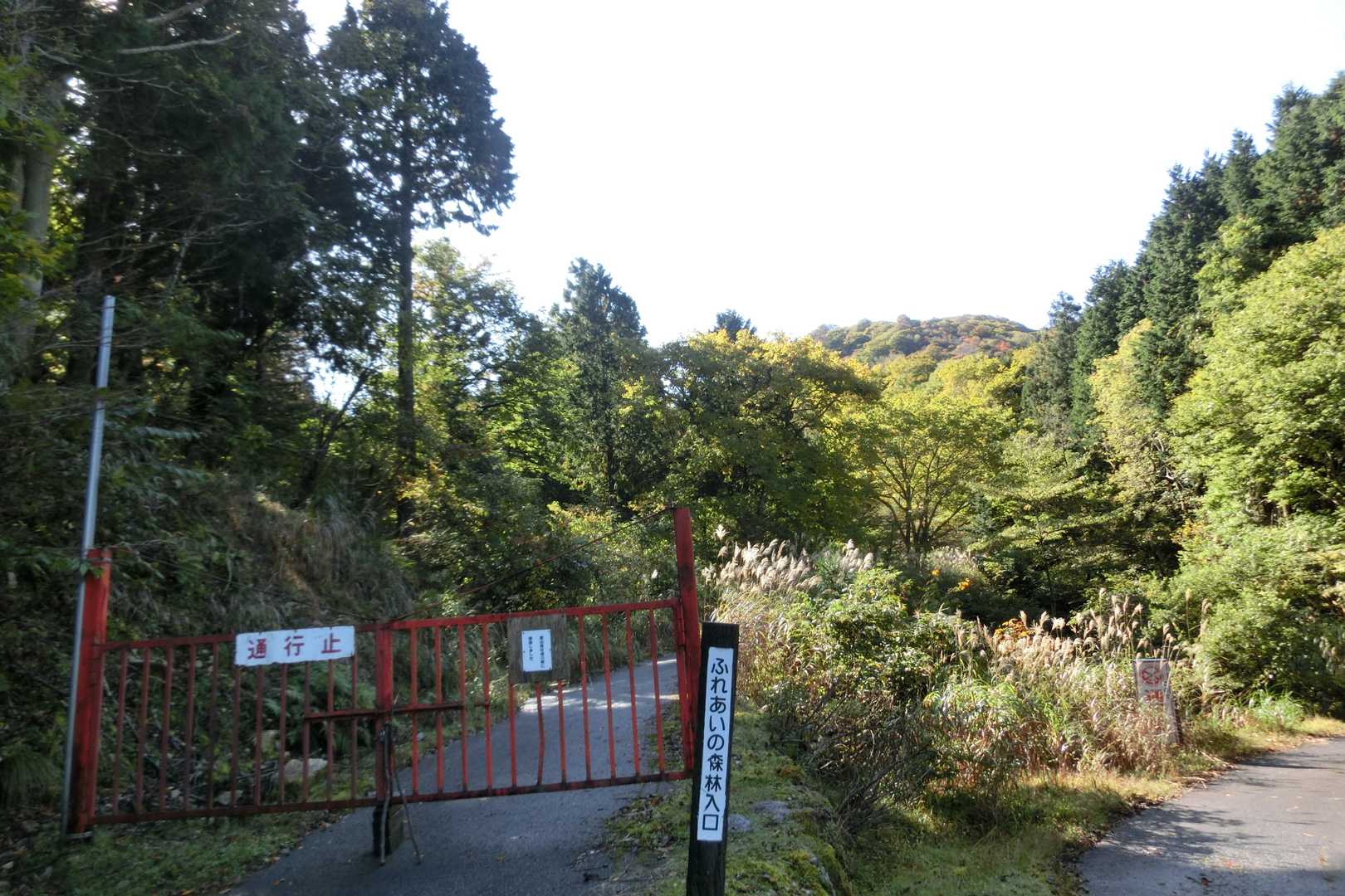 ふれあいの森、久し振り！！