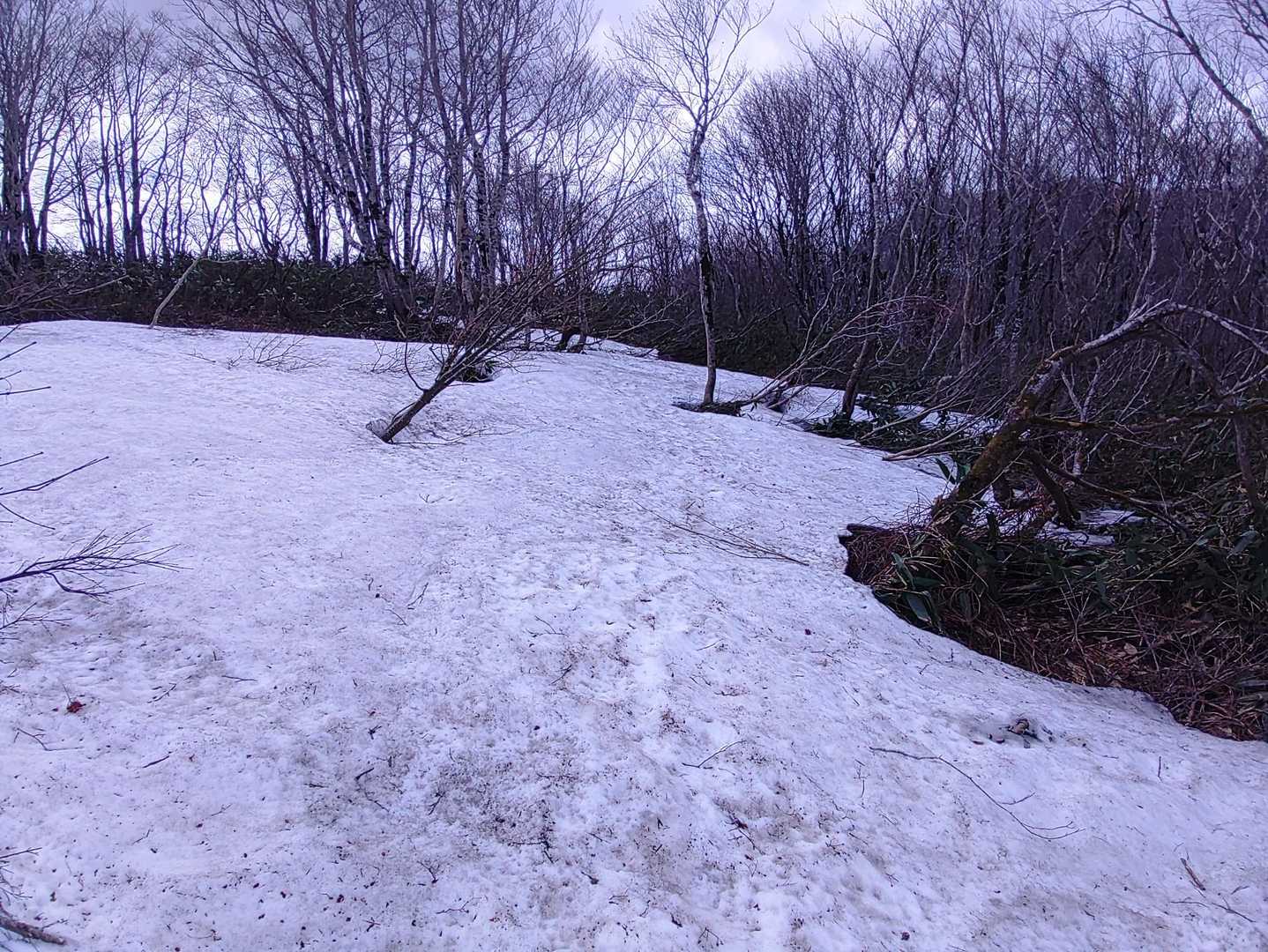 残雪