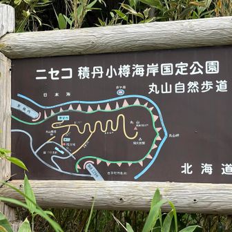 下りてから立派な看板に気づく