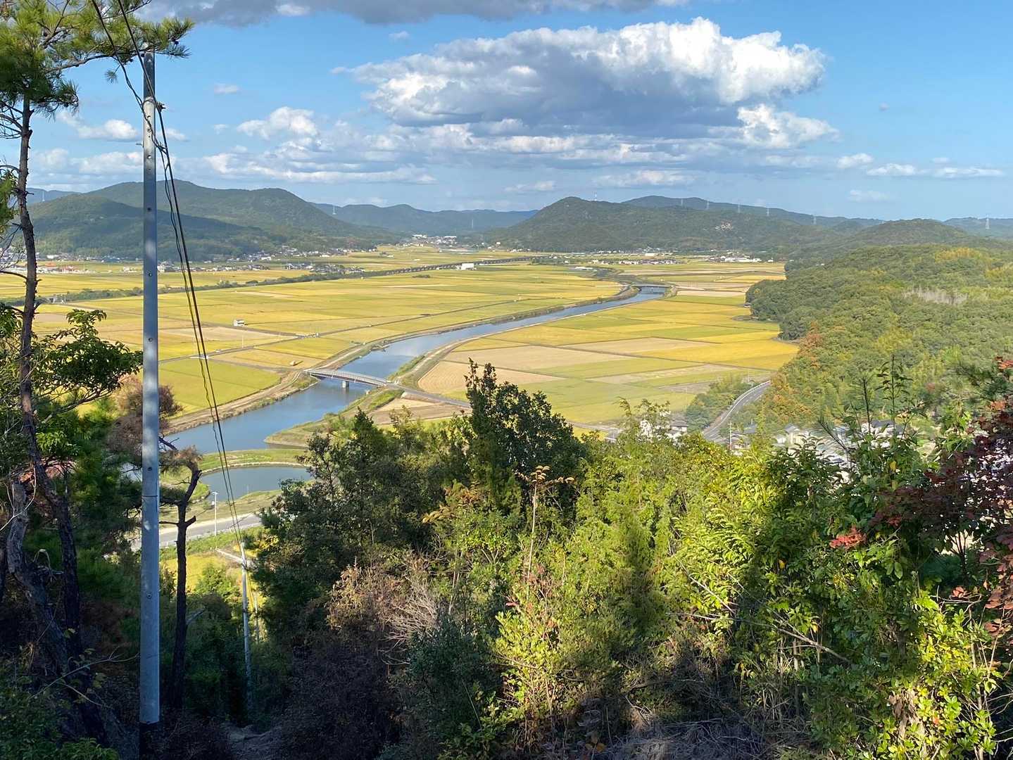 ４号目からの千町平野🌾

本日の山活（蝶活⁈）これにて終了です♪
最後まで読んでいただきありがとうございました🙏