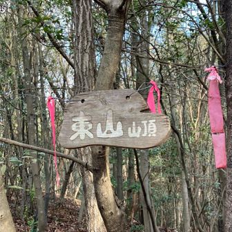 東山に到着しました