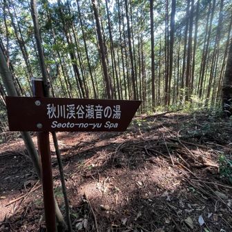ゴールまであと少し
留学生達は中々追いついてこないな〜
