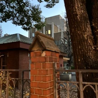 東大です。残念ながら赤門は28年まで改修工事